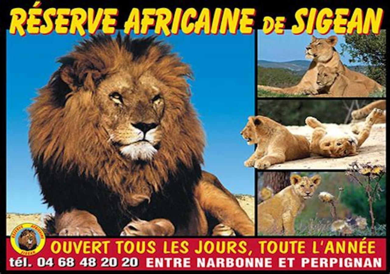 Agreable Maison De Famille Sur Gite Echarou Sigean Exterior photo